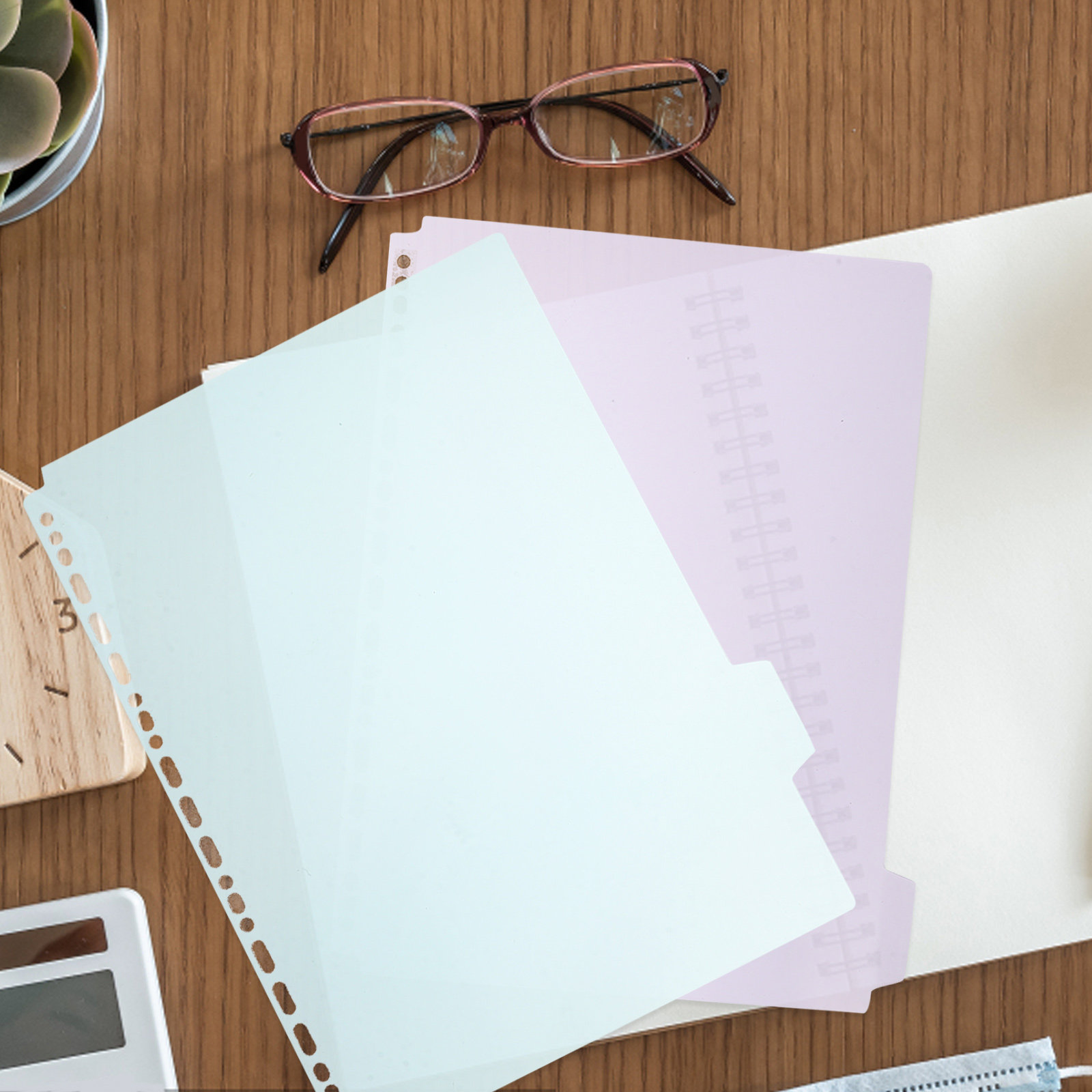 6Pcs A4 Ring Binder Index Divi - Tab Divider A4 のレビューと価格