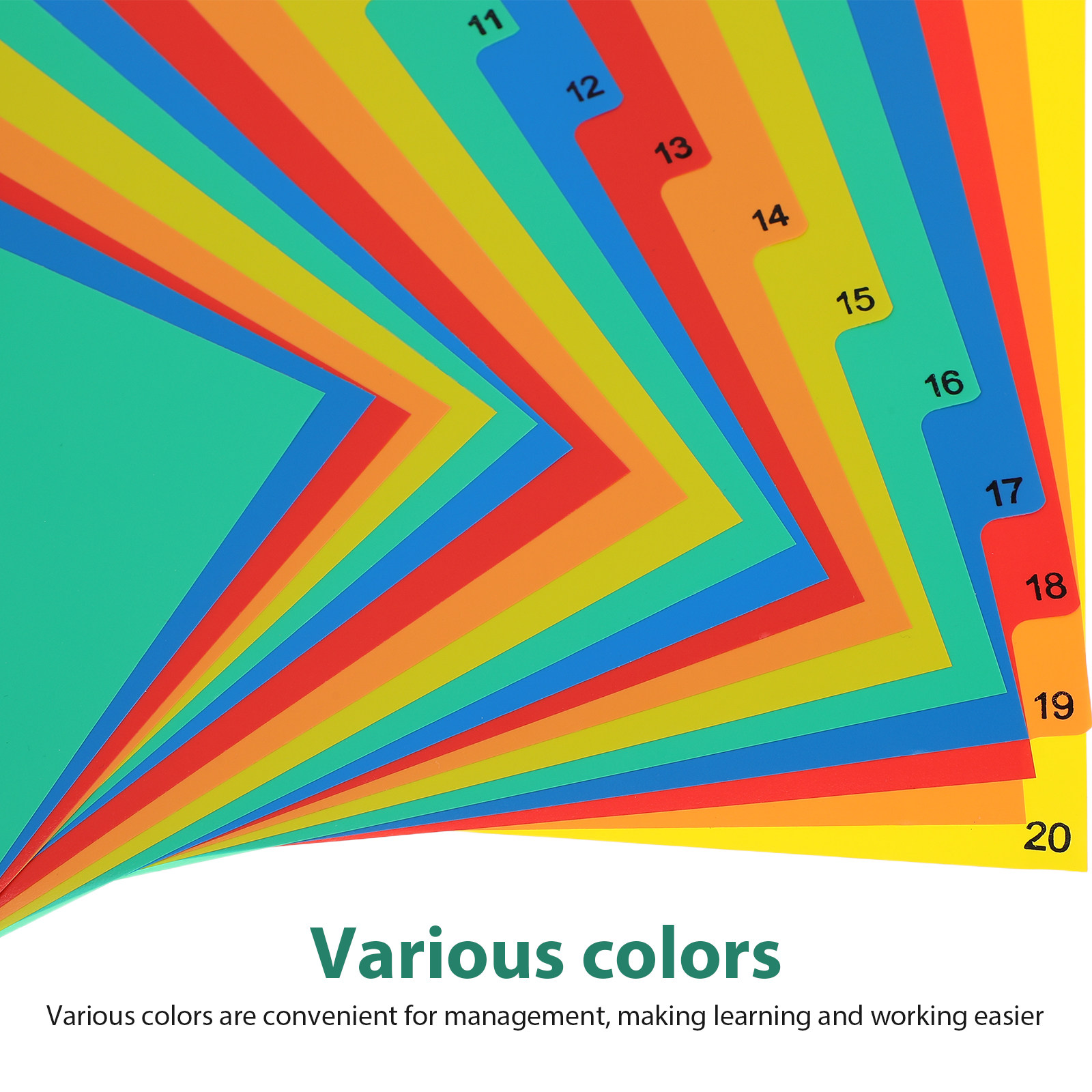 20 Pages A4 Colorful Plastic T - Tab Divider A4 のレビューと価格