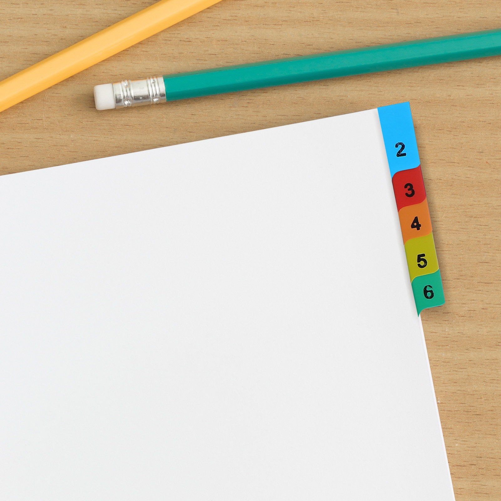 20 Pages A4 Multi Color Plasti - Tab Divider A4 のレビューと価格