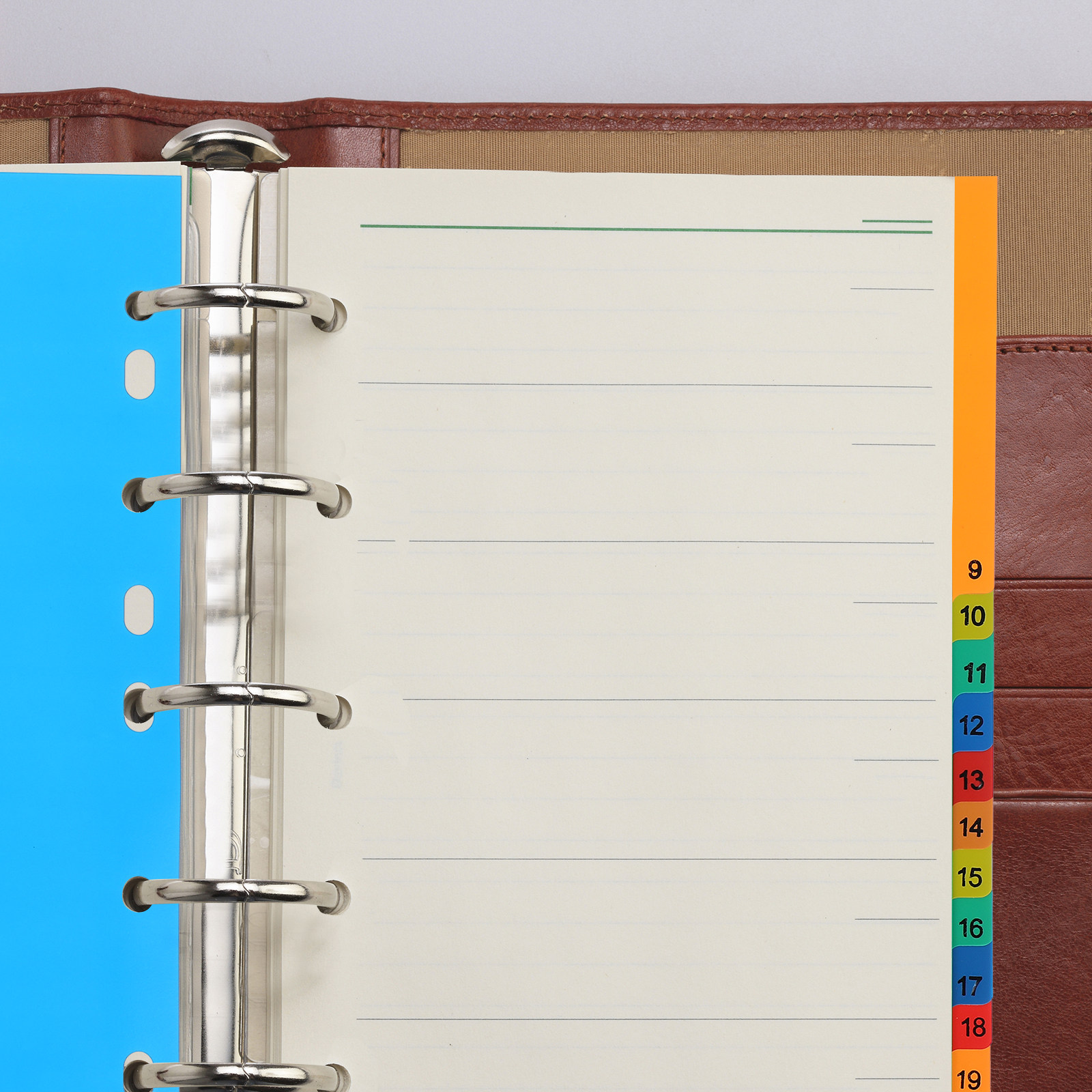20 Pages A4 Multi Color Plasti - Tab Divider A4 のレビューと価格