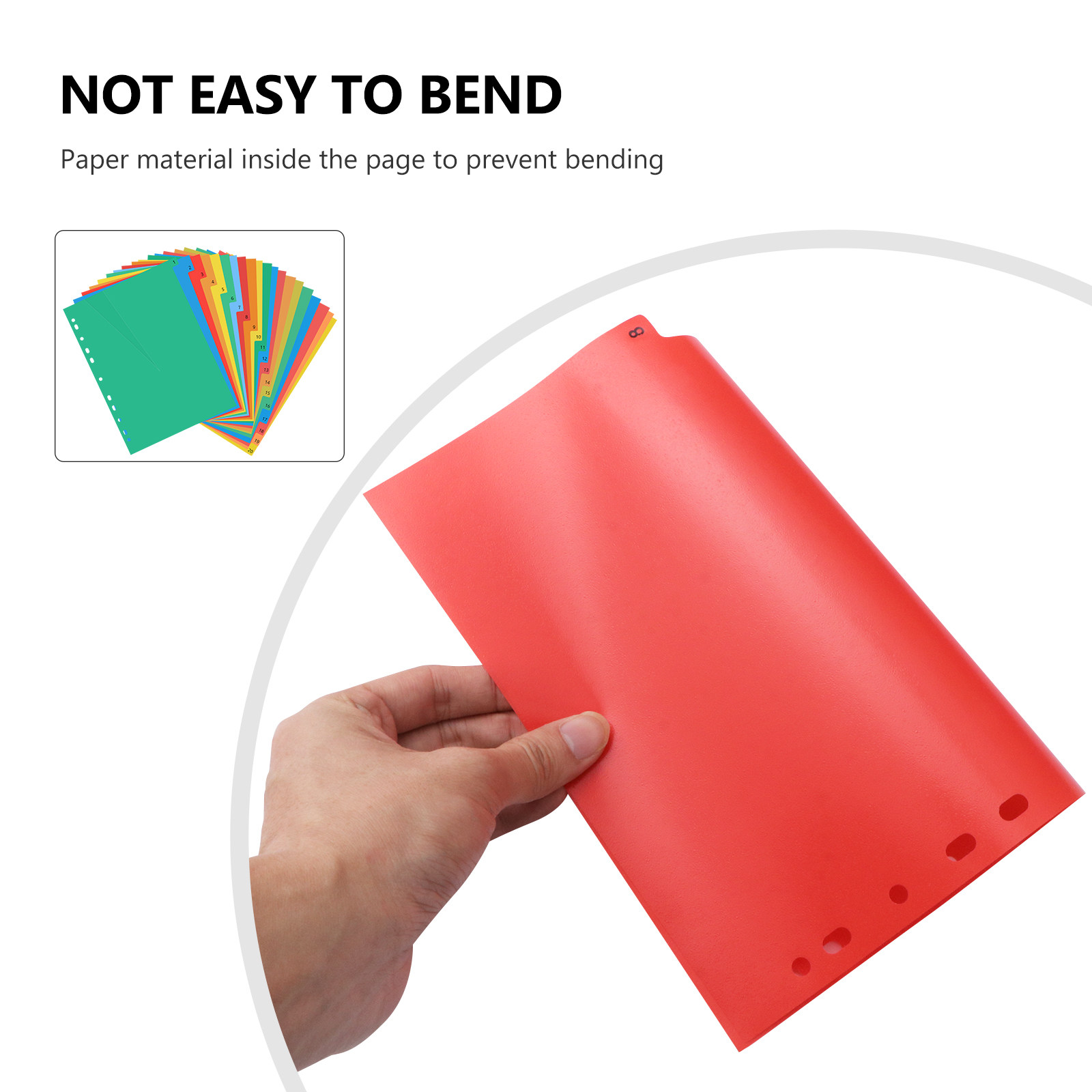20 Pages A4 Multi Color Plasti - Tab Divider A4 のレビューと価格