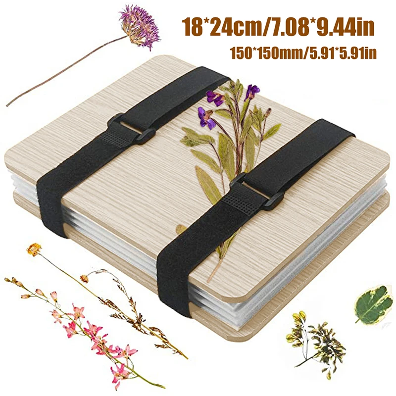 1 Set Plant Specimen Tool Kit  - Ink Blotter Paper のレビューと価格